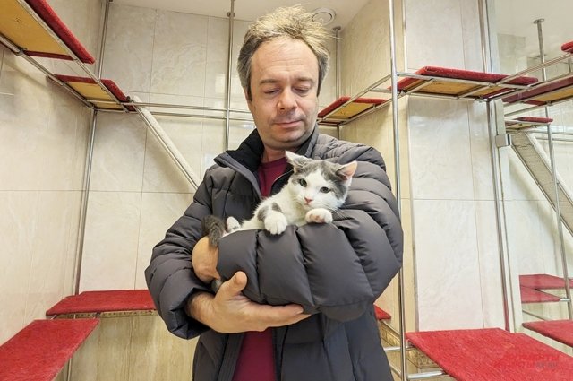 68b12fd59d2de72ae0310eb59fd7d30e