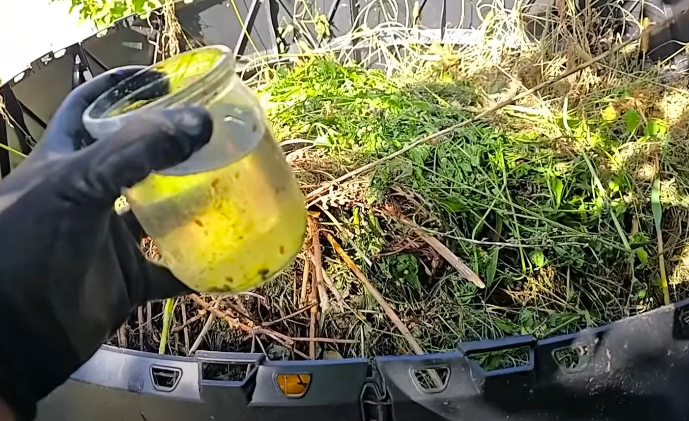 Я в Шоці! Що додати в компостну яму для швидкого перегною