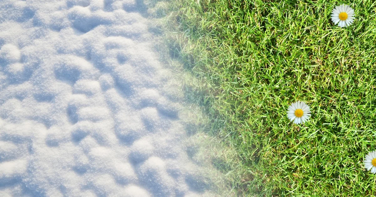 Стрітення 2026: точна дата за новим календарем