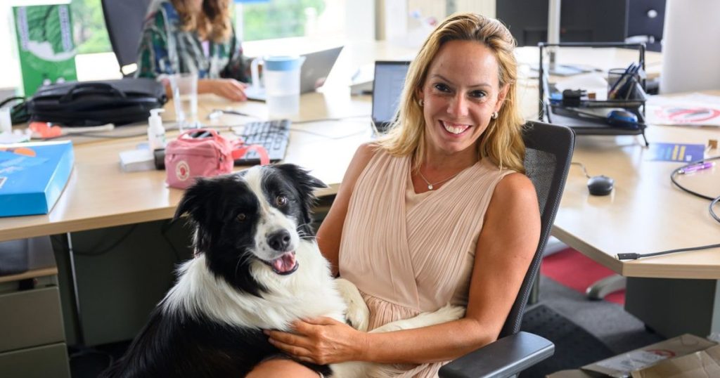 Pet-friendly офіси: як присутність домашніх тварин впливає на продуктивність і психологічний клімат у командах