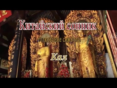 К Чему Снится Кал Женщине: подробный анализ значений и толкований