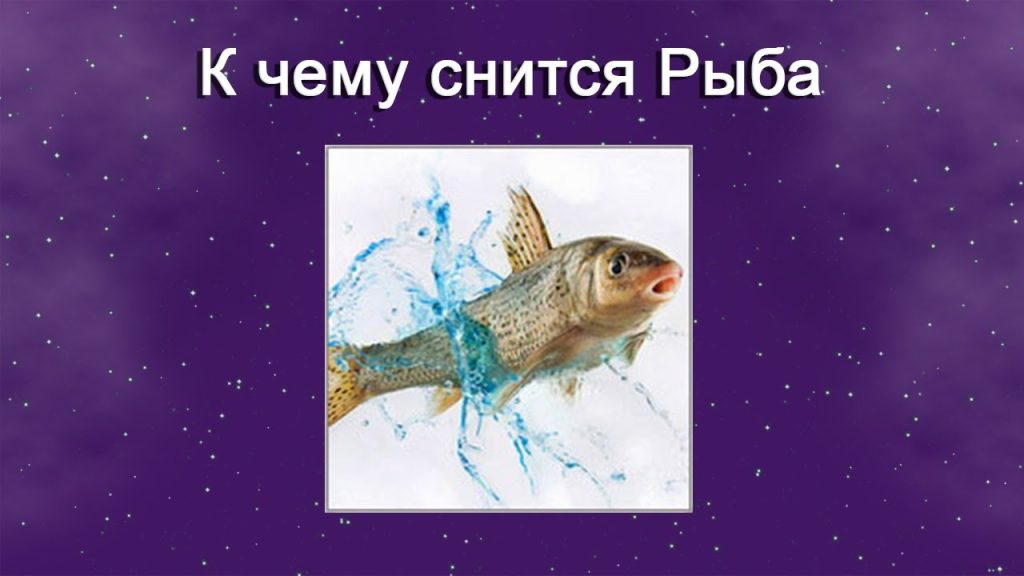 К Чему Снится Рыба: символика, толкования и культурное значение