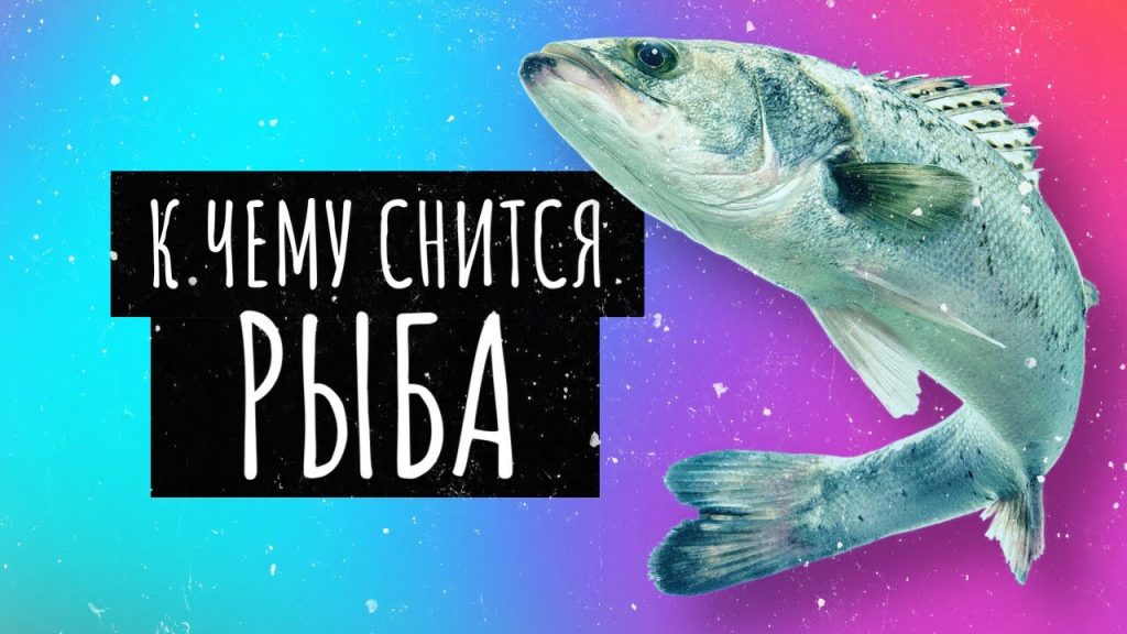 К Чему Снится Рыба: символика, толкования и культурное значение
