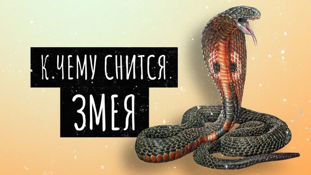 К Чему Снится Змея: толкование сна и символика образа в разных культурах