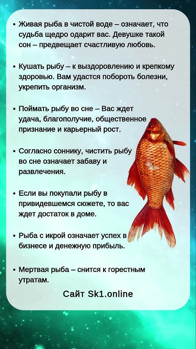 К Чему Снится Рыба: символика, толкования и культурное значение