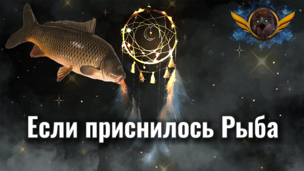К Чему Снится Рыба: символика, толкования и культурное значение