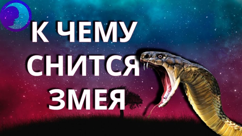 К Чему Снится Змея: толкование сна и символика образа в разных культурах