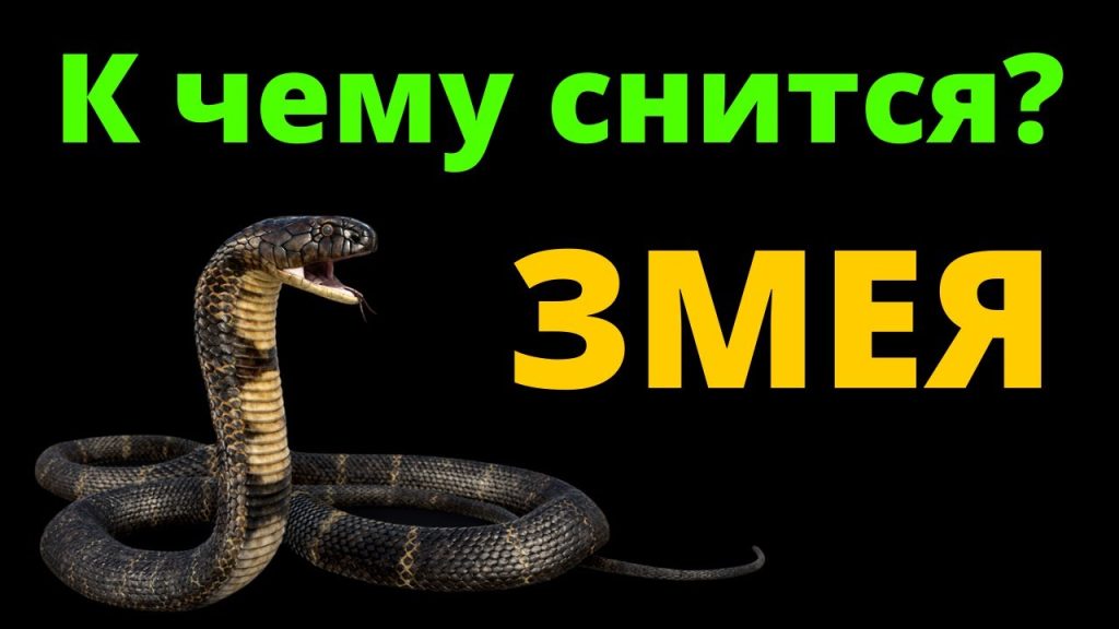 К Чему Снится Змея: толкование сна и символика образа в разных культурах