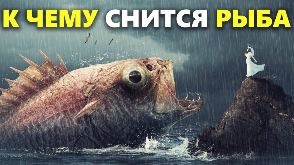 К Чему Снится Рыба: символика, толкования и культурное значение