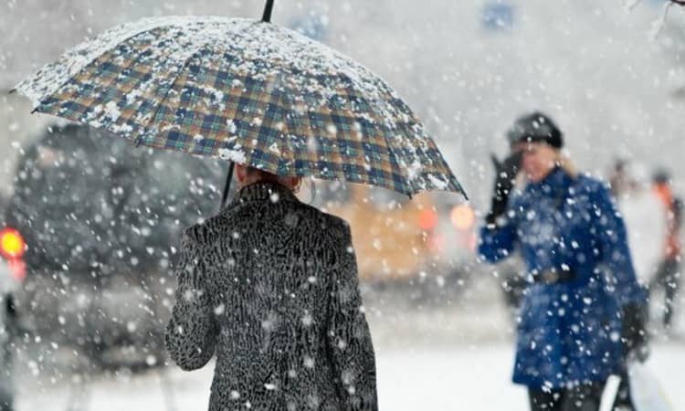 До Чого Сниться Сніг: біографія, творчість та вплив на культуру