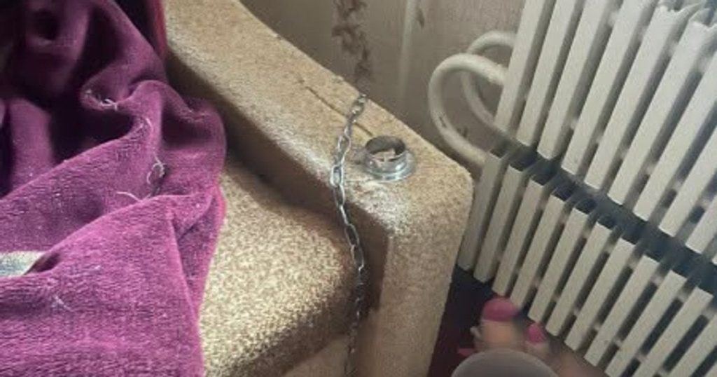 Тримали на ланцюгу біля батареї: у Кам’янському мати катувала 7-річного сина