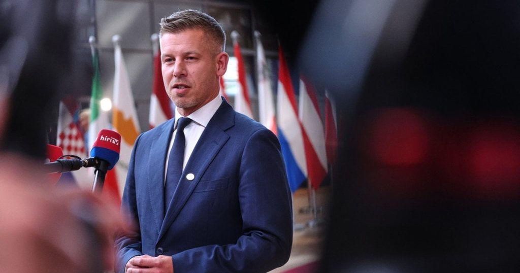 Знову палиці в колеса: Мадяр викреслив прискорений вступ України з декларації ЄС