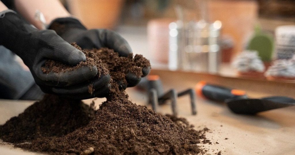 Чим удобрити ґрунт, щоб отримати якісний врожай: 8 способів