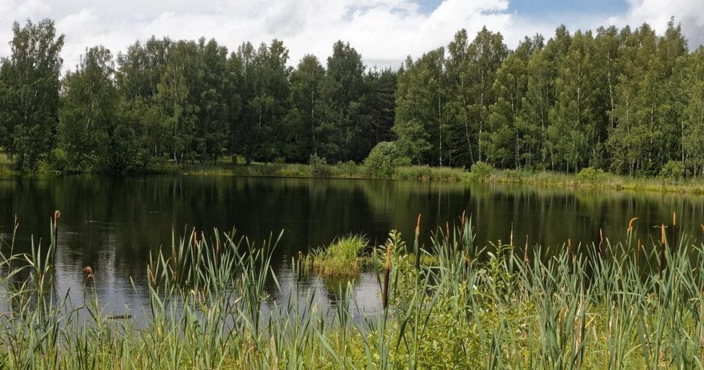 Україну накриває небезпечна погода: синоптик попередив, які регіони зачепить найбільше